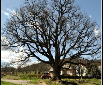 img (3) Obec Drnava Obec Drnava