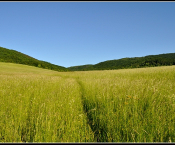 img (6) Obec Drnava Obec Drnava