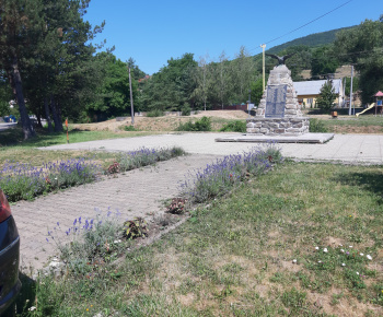kvetinová výzdoba v obci jún 2022