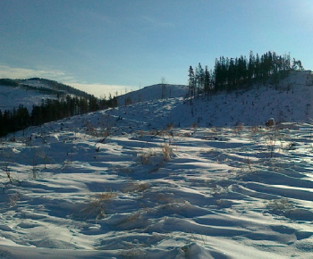 Pipítka pod snehom - január 2012